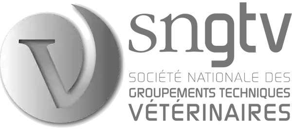 SNGTV